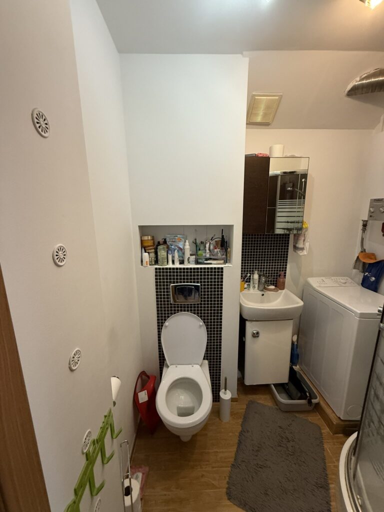 Kupaonica sa starim pločicama prije adaptacije 